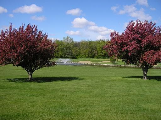 Waverly Golf Course