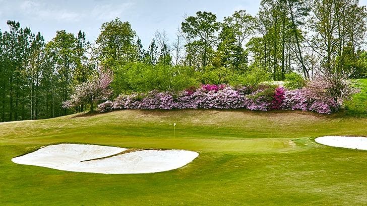 Windermere Golf Club